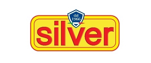 Logo Silver